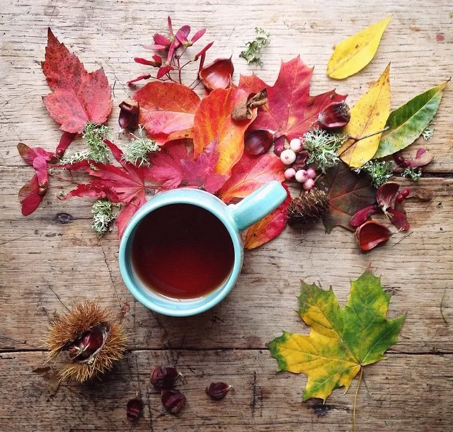 EP. 5 :: MONEY, MOCHAS AND MASTERING YOUR MOJO {With Bari Tessler}