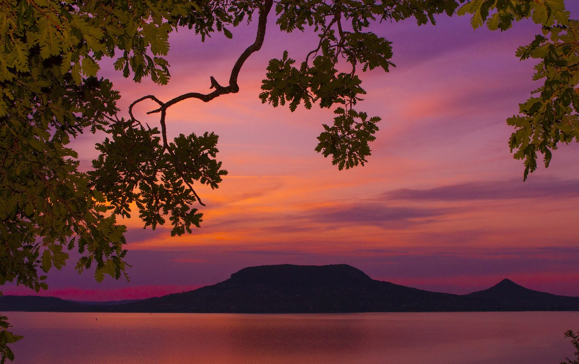 sunset-3049626_1920.jpg