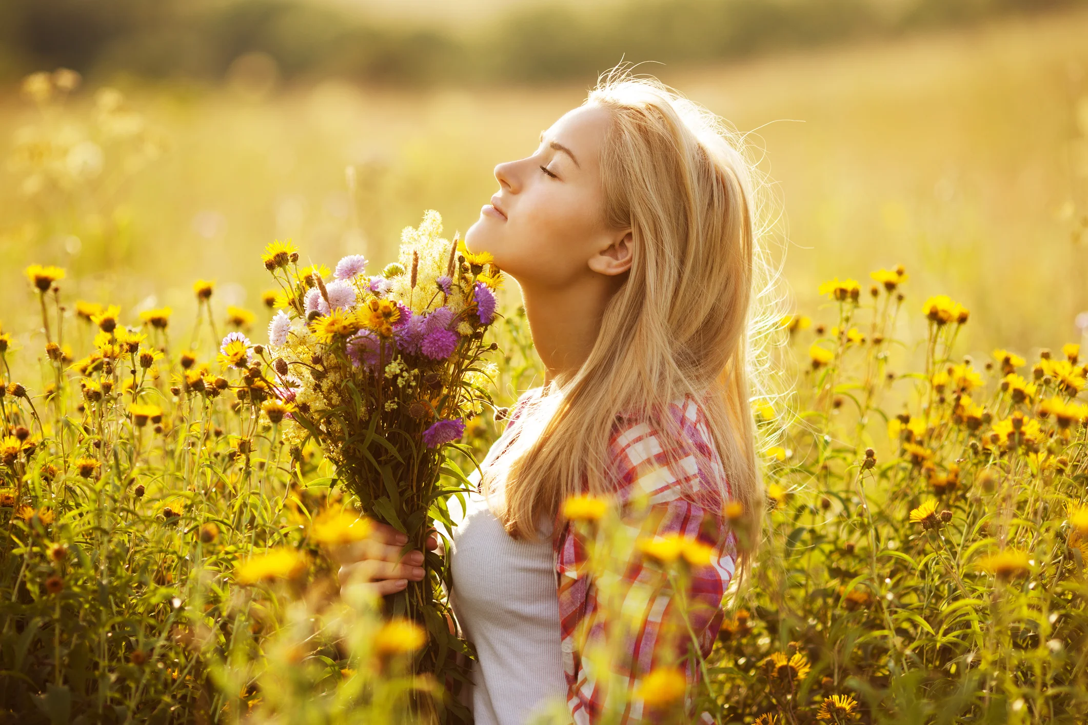 iStock-533996765.jpg
