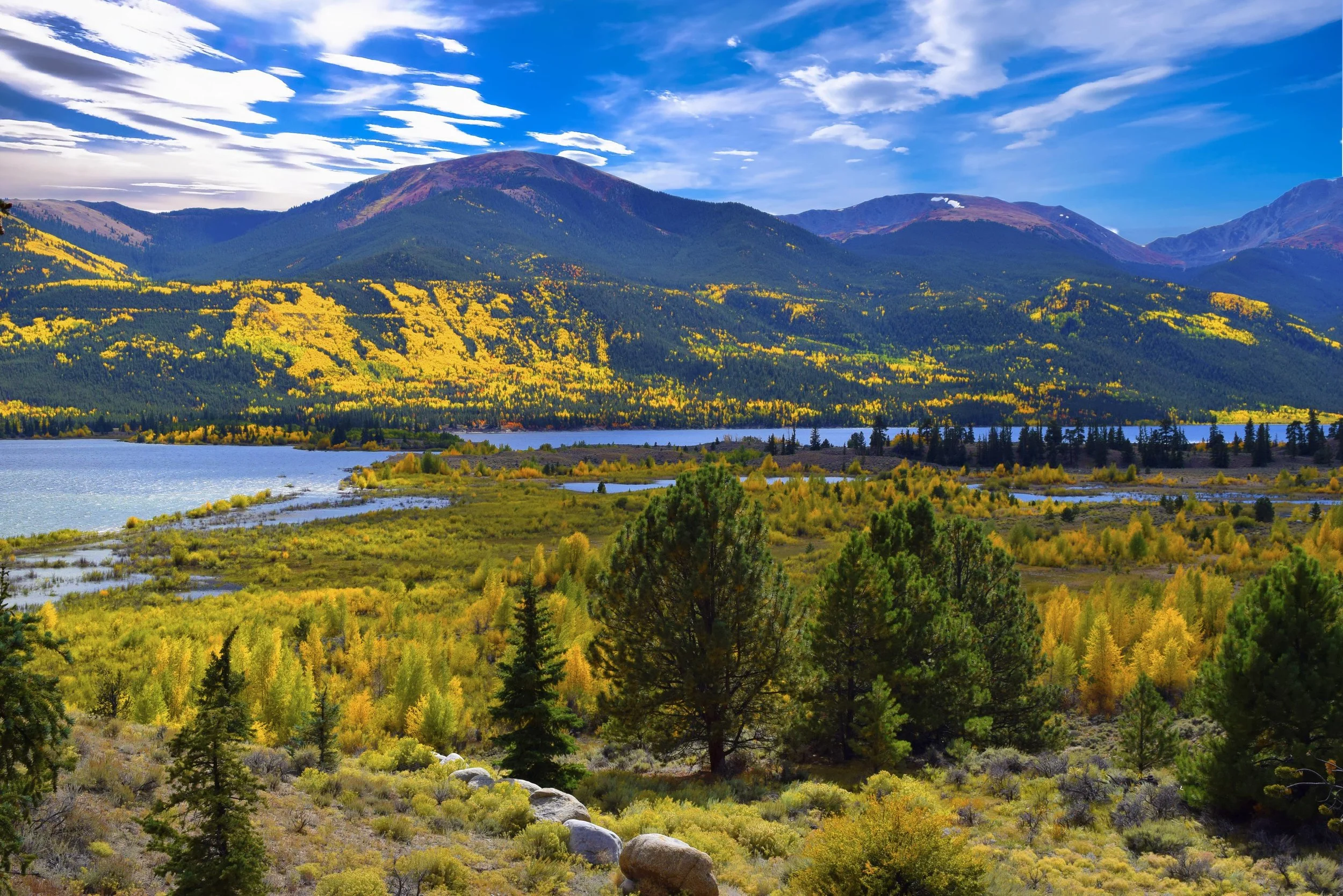 tinakmoore-nature-7031579.jpg