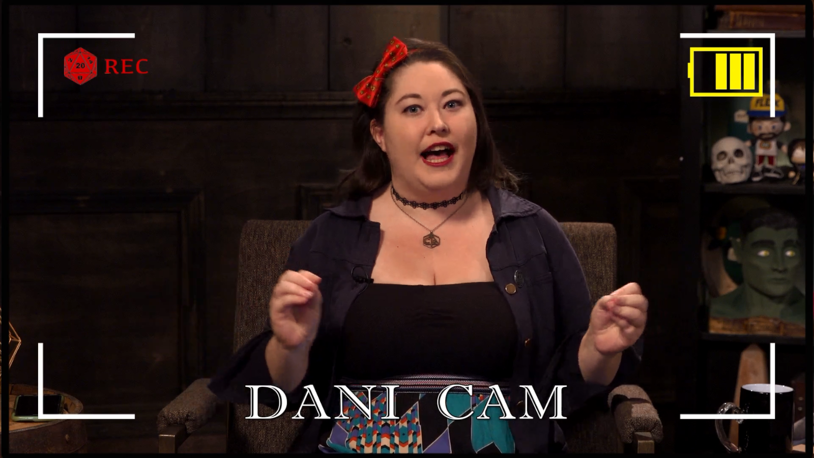 dani cam.png