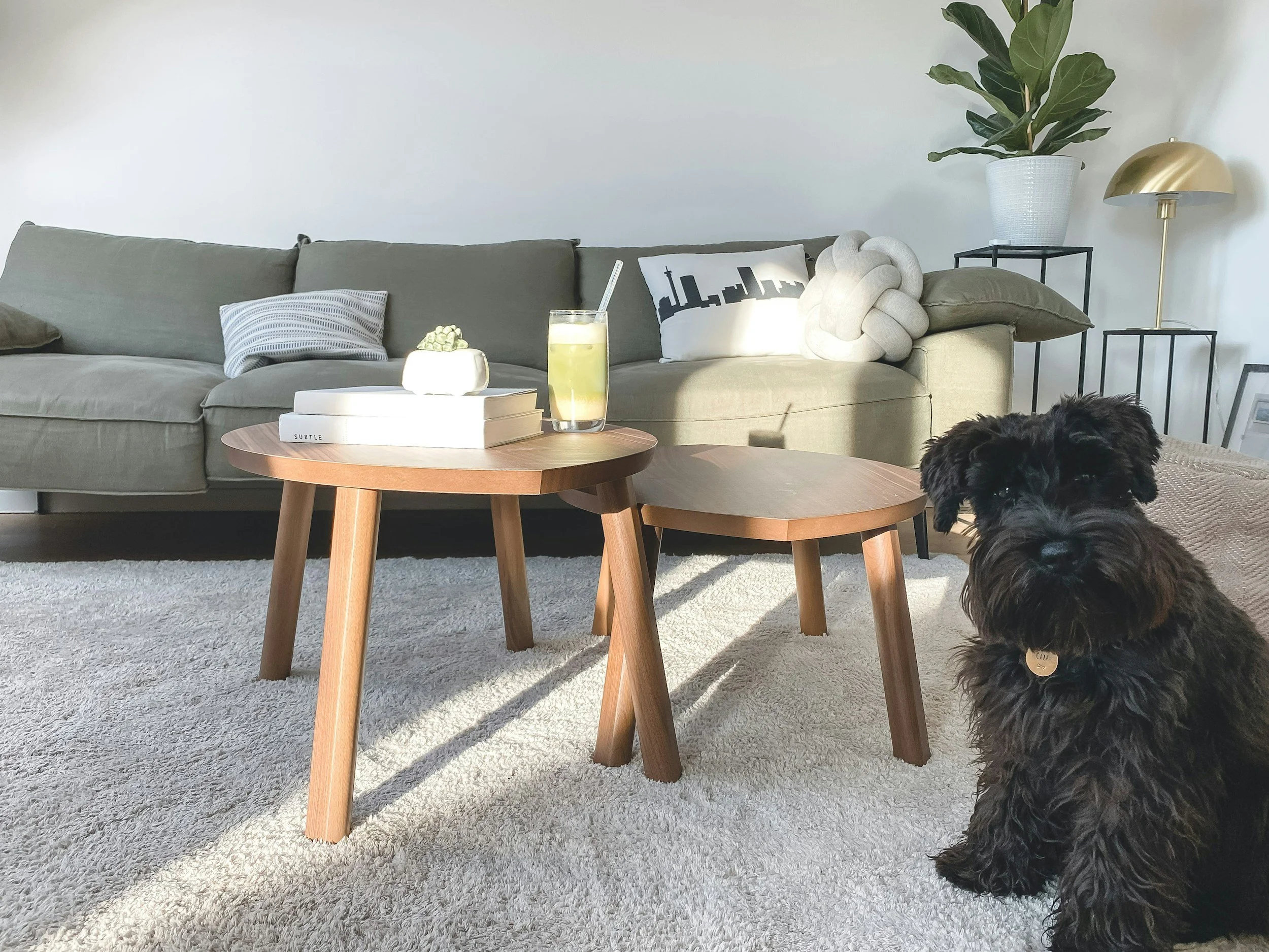 Living room with a beige sofa decorated with pillows, a wooden coffee table with books, a drink, and a ceramic bowl, and a dog sitting on a carpeted floor.