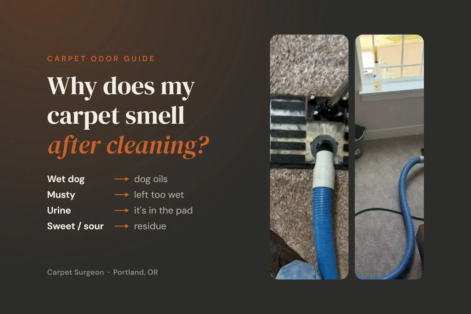 Why Does My Carpet Smell After Cleaning? The 4 Real Causes