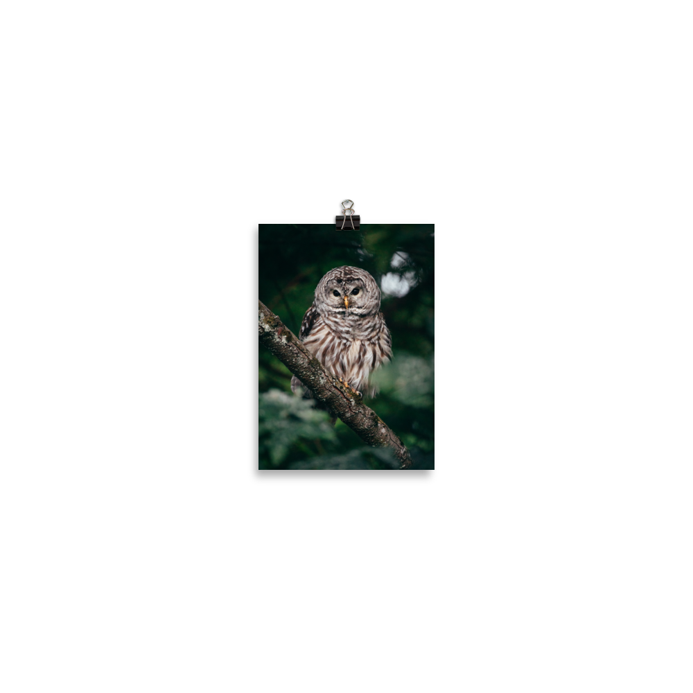 enhanced-matte-paper-poster-(in)-5x7-transparent-67155f7bbbc48.png
