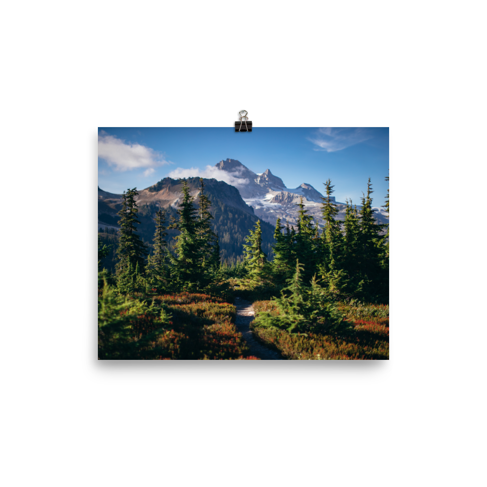 enhanced-matte-paper-poster-(in)-8x10-transparent-67156b3ea60e6.png