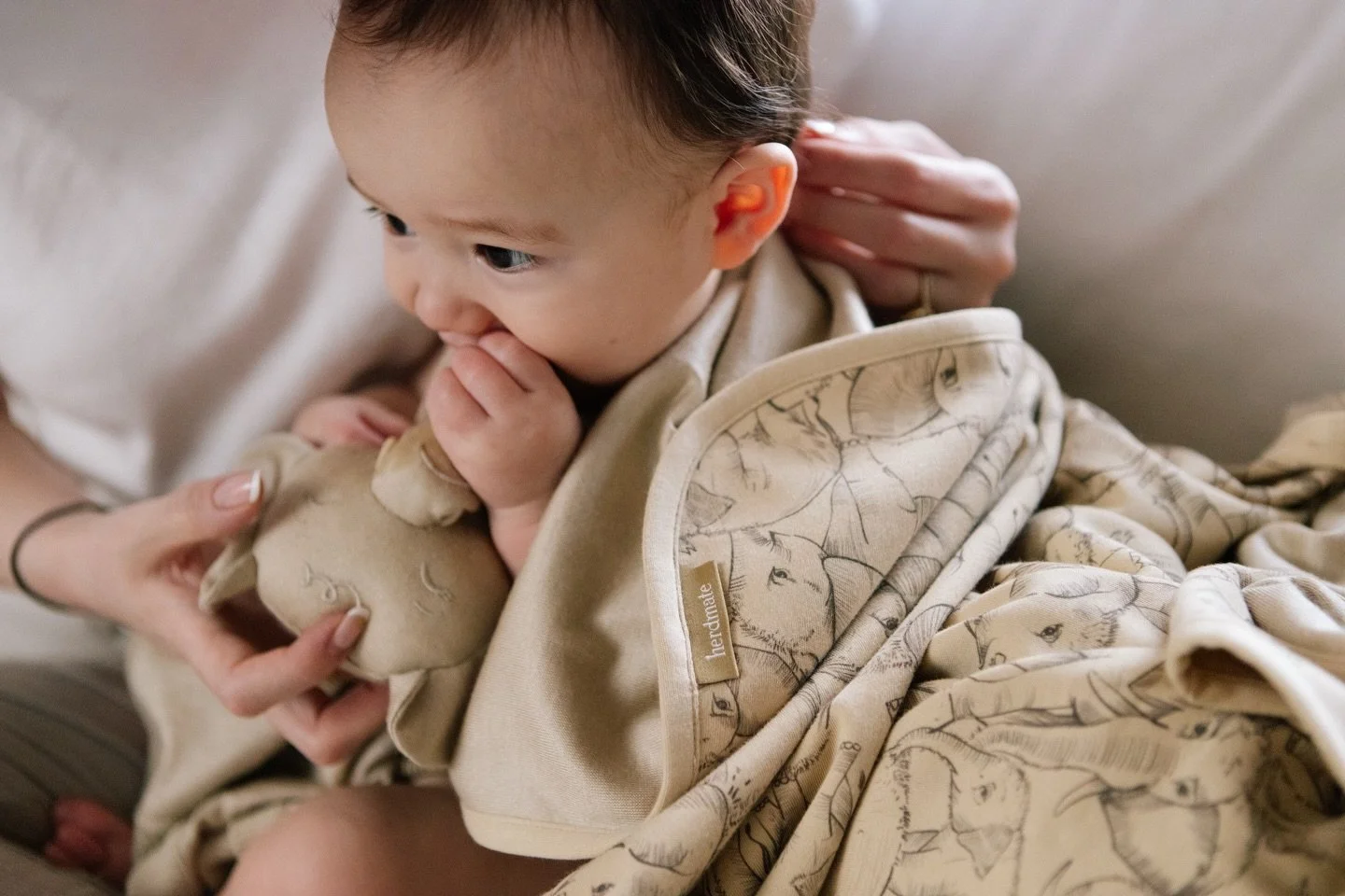 Some projects feel aligned from the very first conversation.

Herdmate was born from a mother trying to soothe her son&rsquo;s eczema. Silk. Cashmere. Alpaca. Materials chosen for comfort and care, not for trend. That foundation shaped everything abo