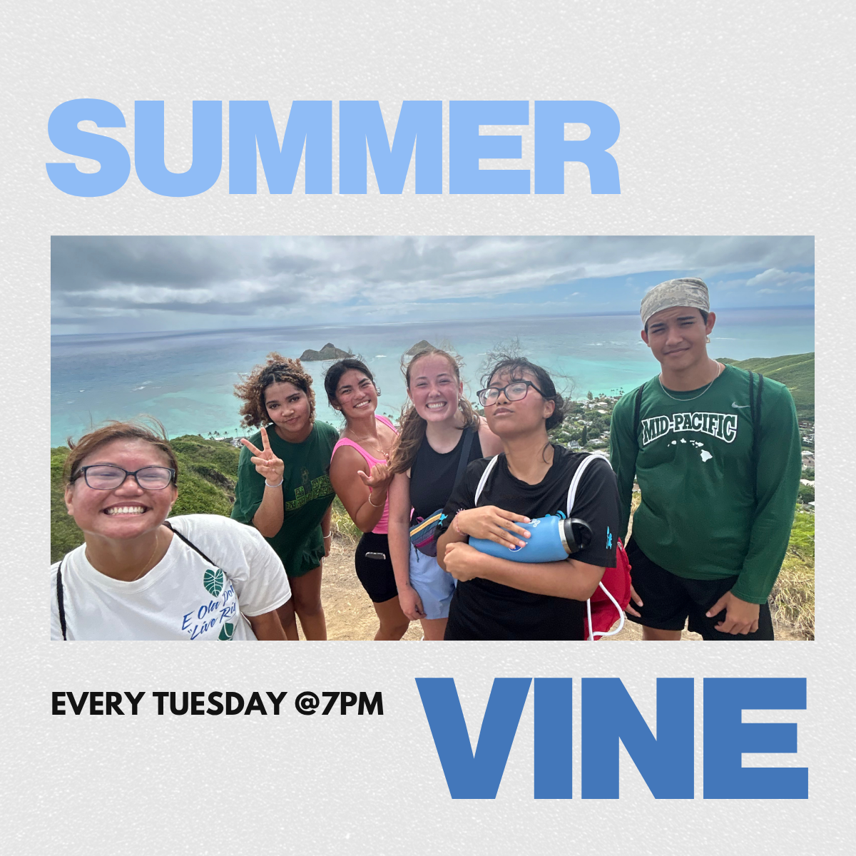 Summer Vine