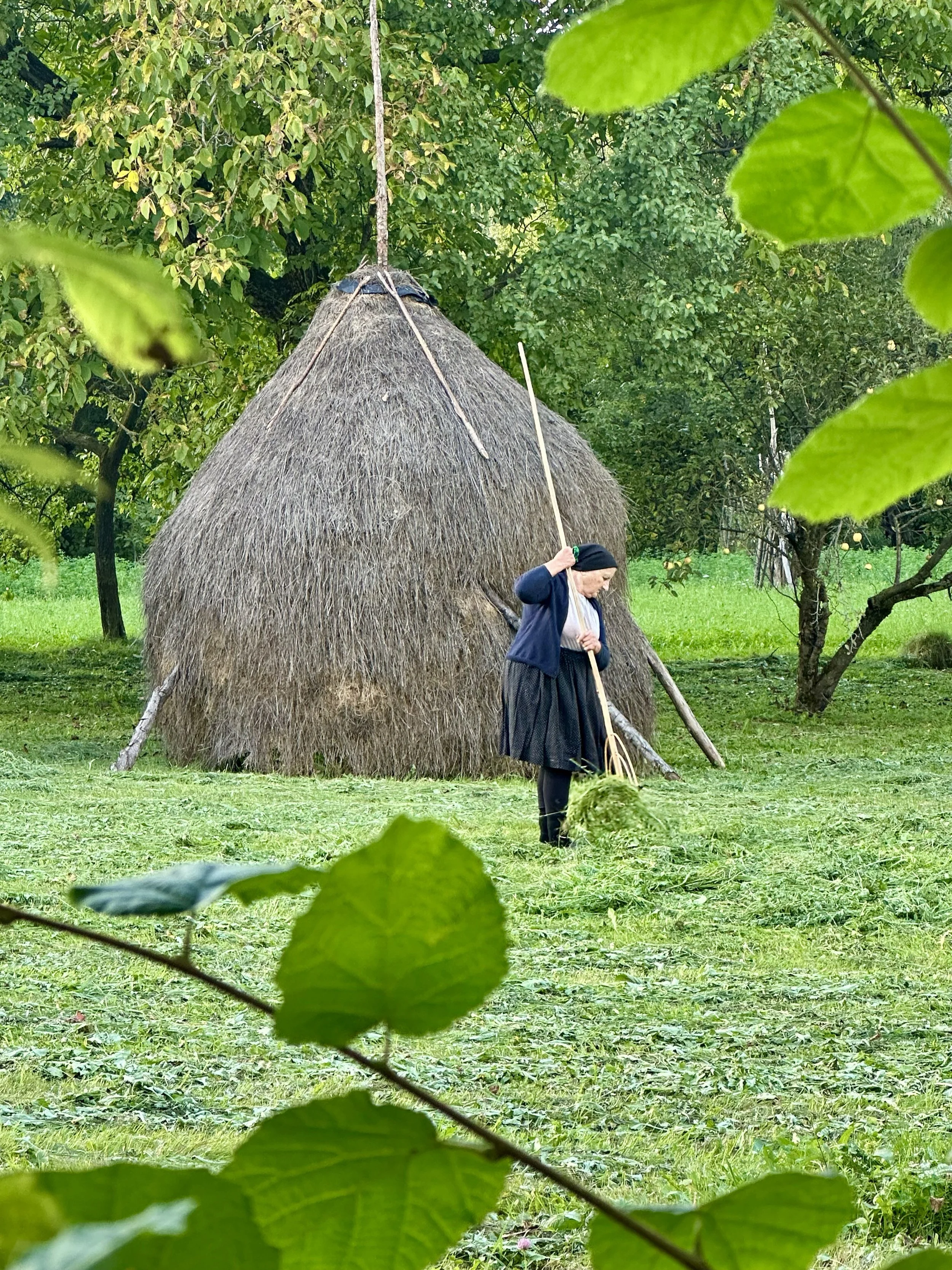  In September 2025, i travelled to Transylvania, the ancestral homelands of my maternal grandparents. Growing up, my grandparents had an epic-sized influence on my life and my visual DNA. When my family moved to Los Angeles, we made weekly visits to 