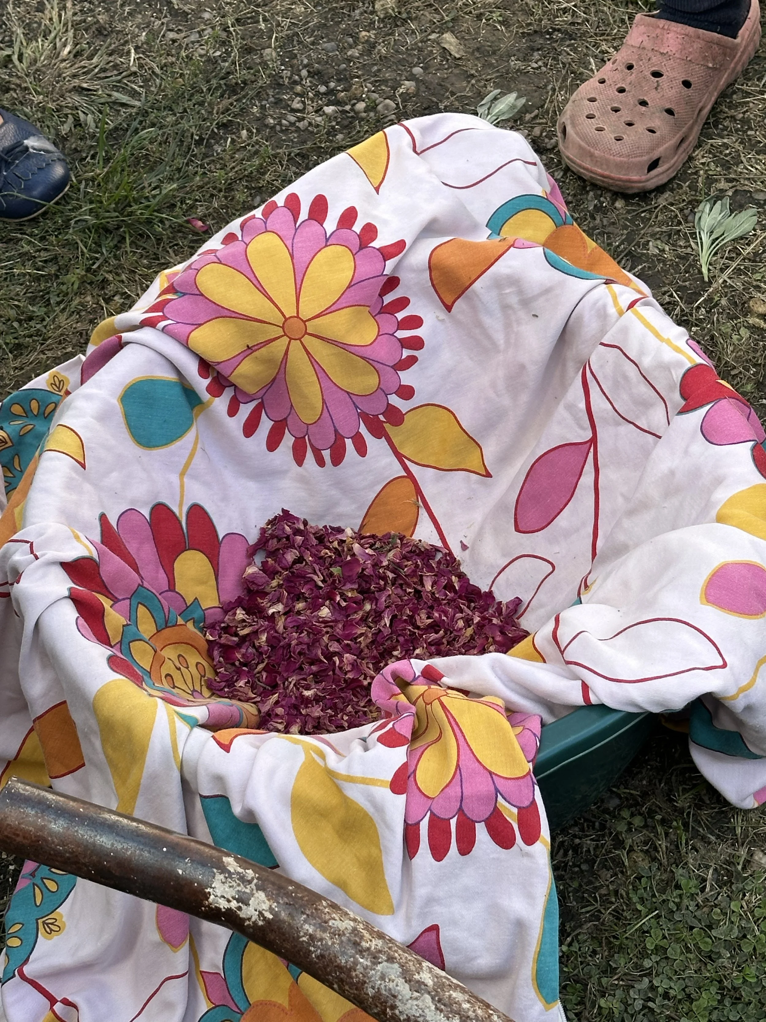 transylvania 19 interior museum.jpg