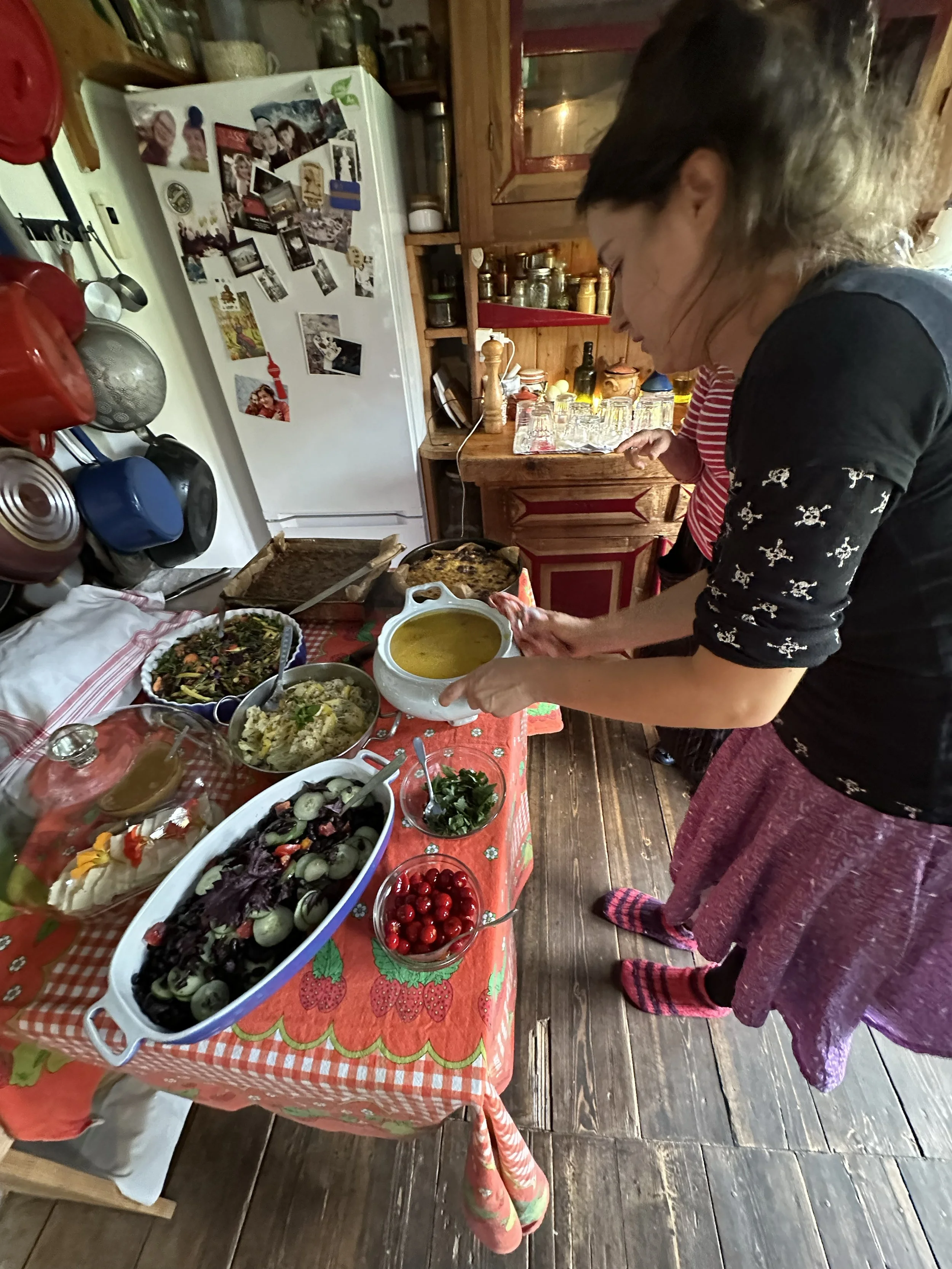 transylvania 22 Organic farm in hills.jpg