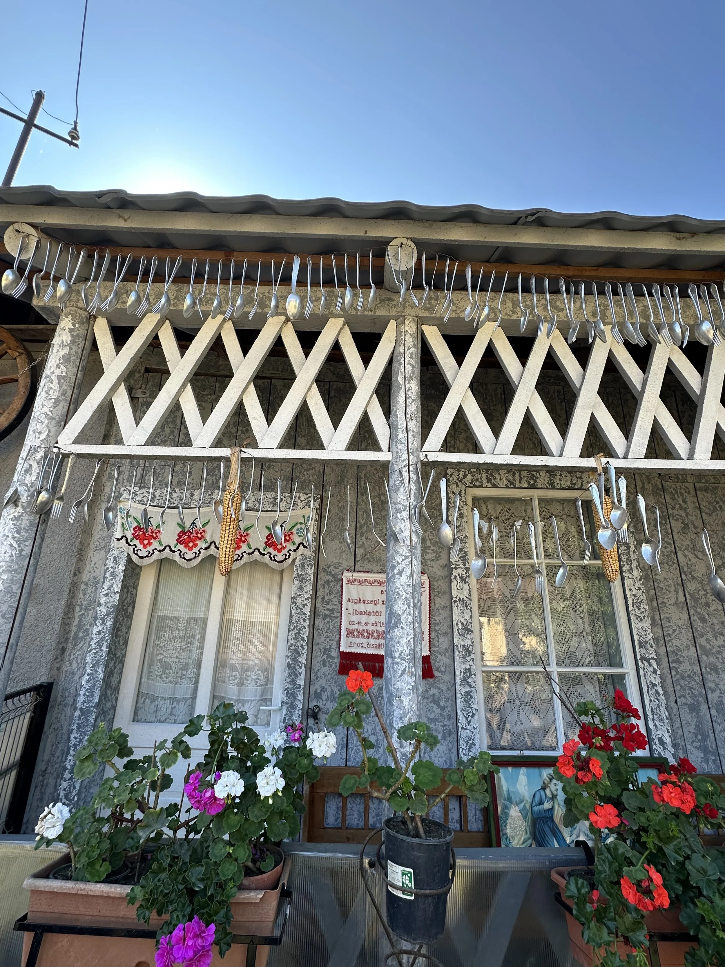  photos ©2025 sarajo frieden  (except where noted) 