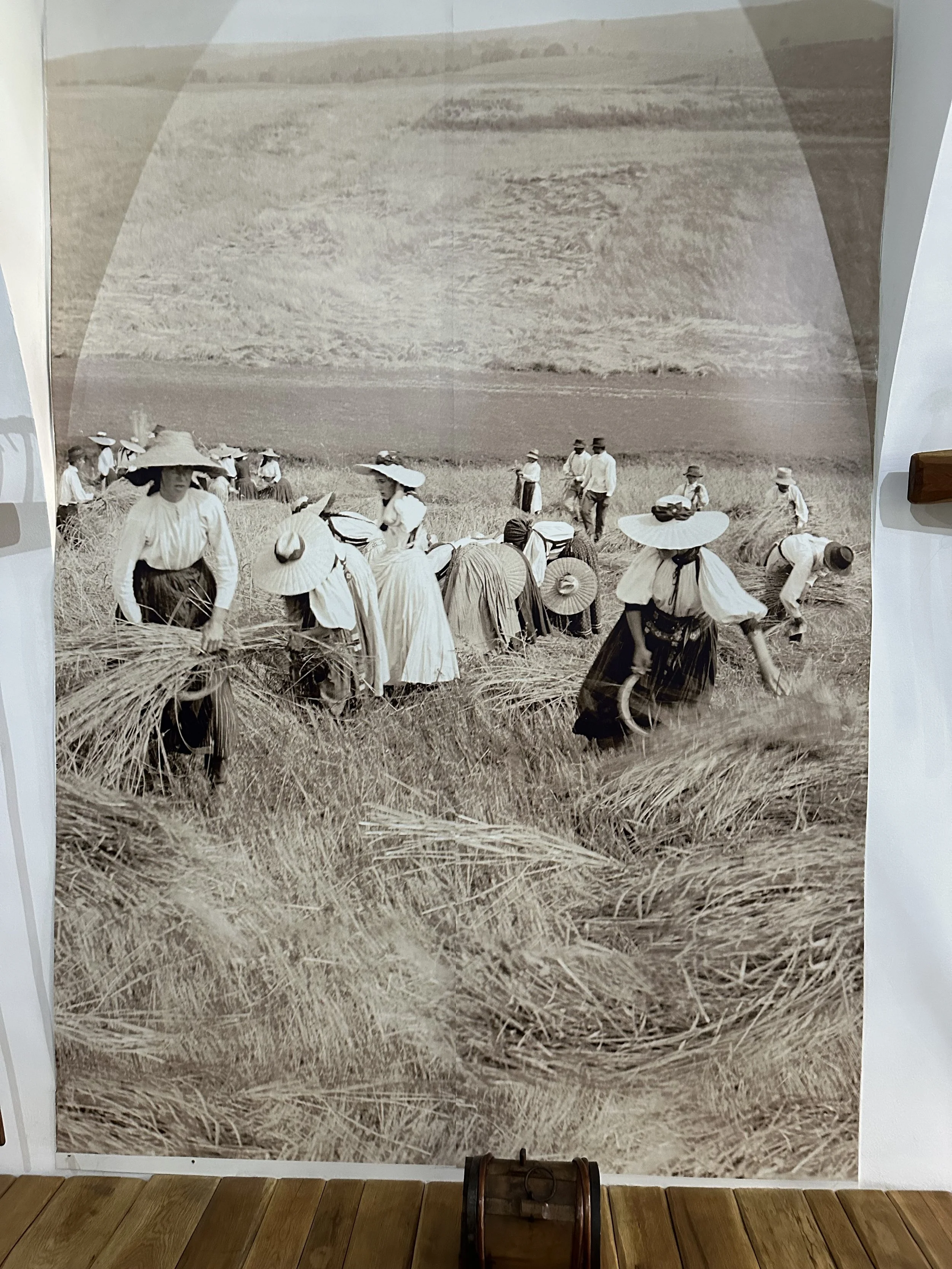  photo from the Ethnographical Museum of Transylvania   Cluj-Napoca, Romania 