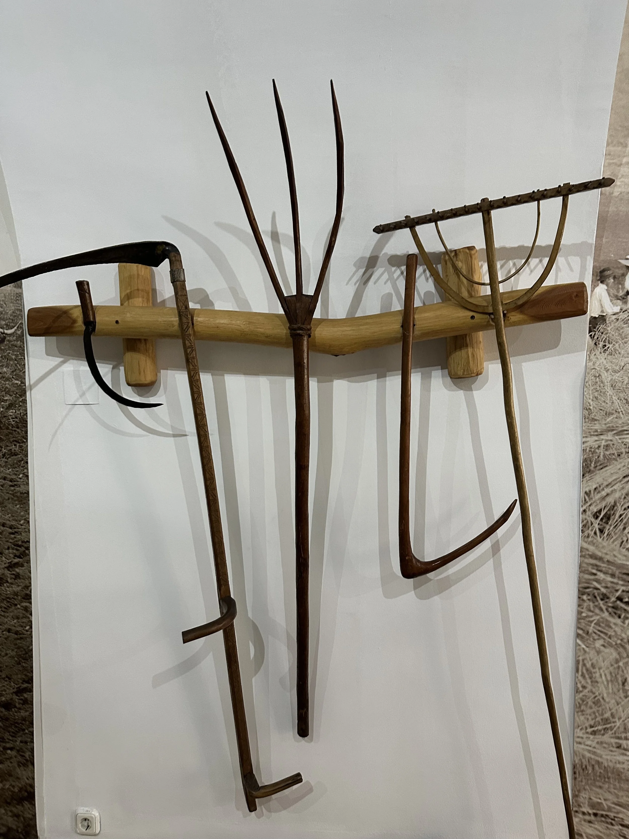  photos ©2025 sarajo frieden  (except where noted) 