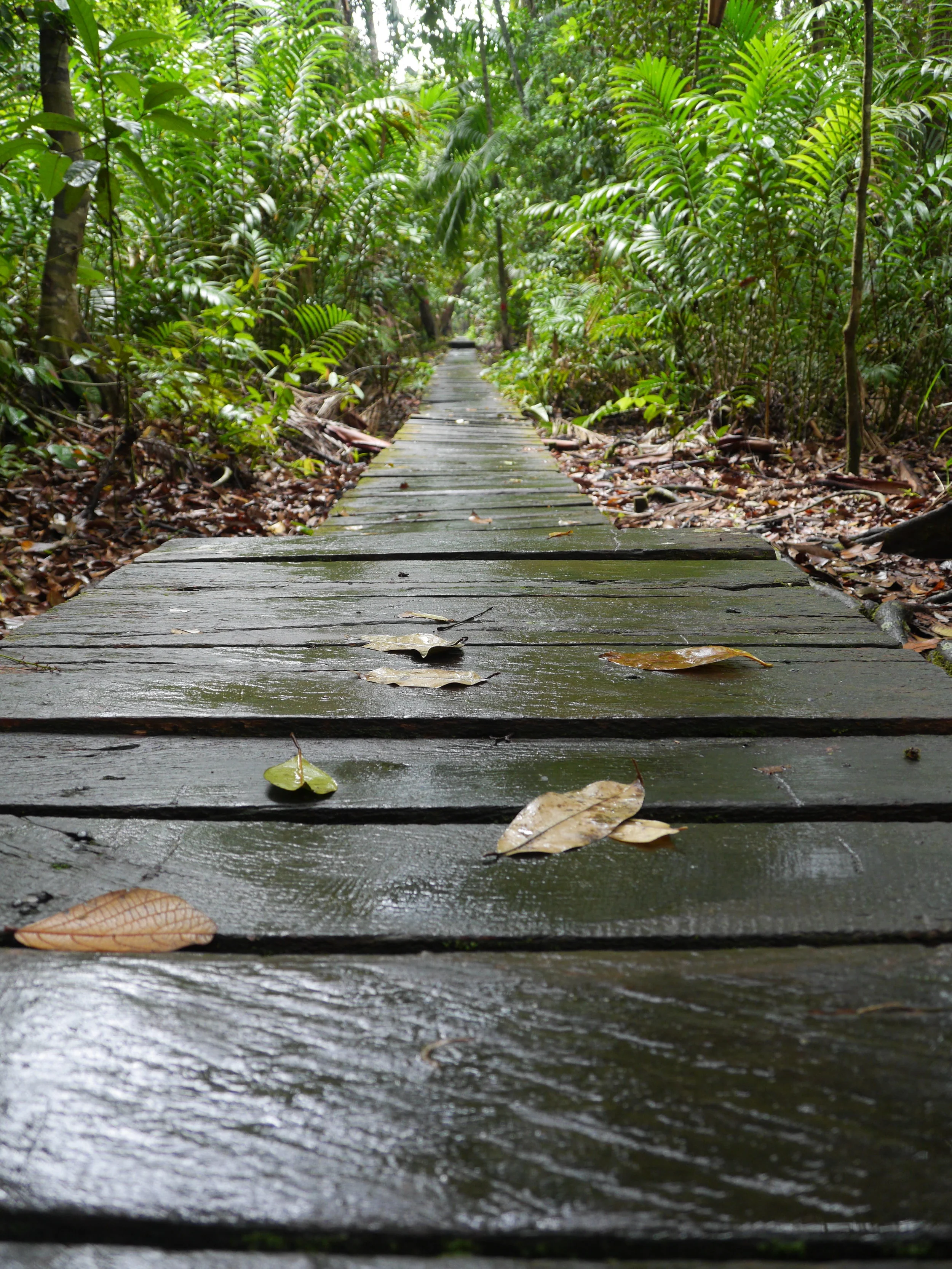 On Knowing, Not Knowing, and Stepping into the Flow