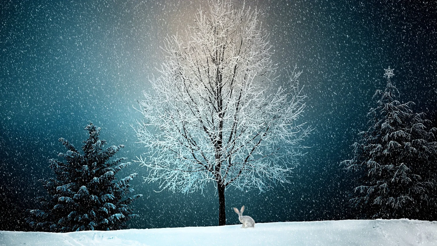Winter solstice full moon astrology
