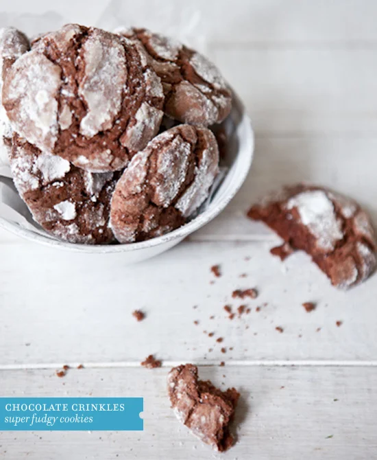 BLOG_choc-crinkle-cookies.jpg