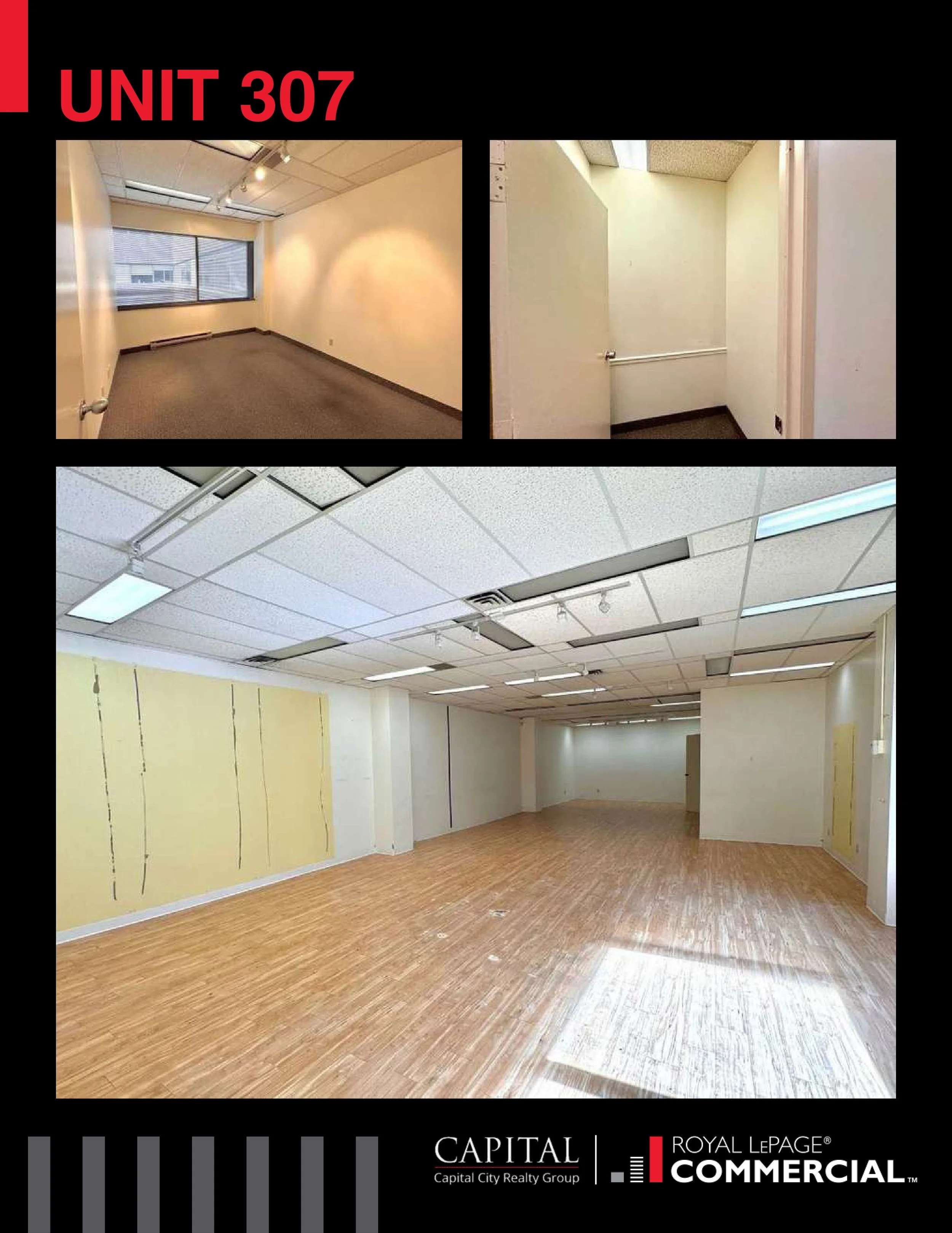 2026_BROCHURE124 Merton Street.pdf_page-0013.jpg