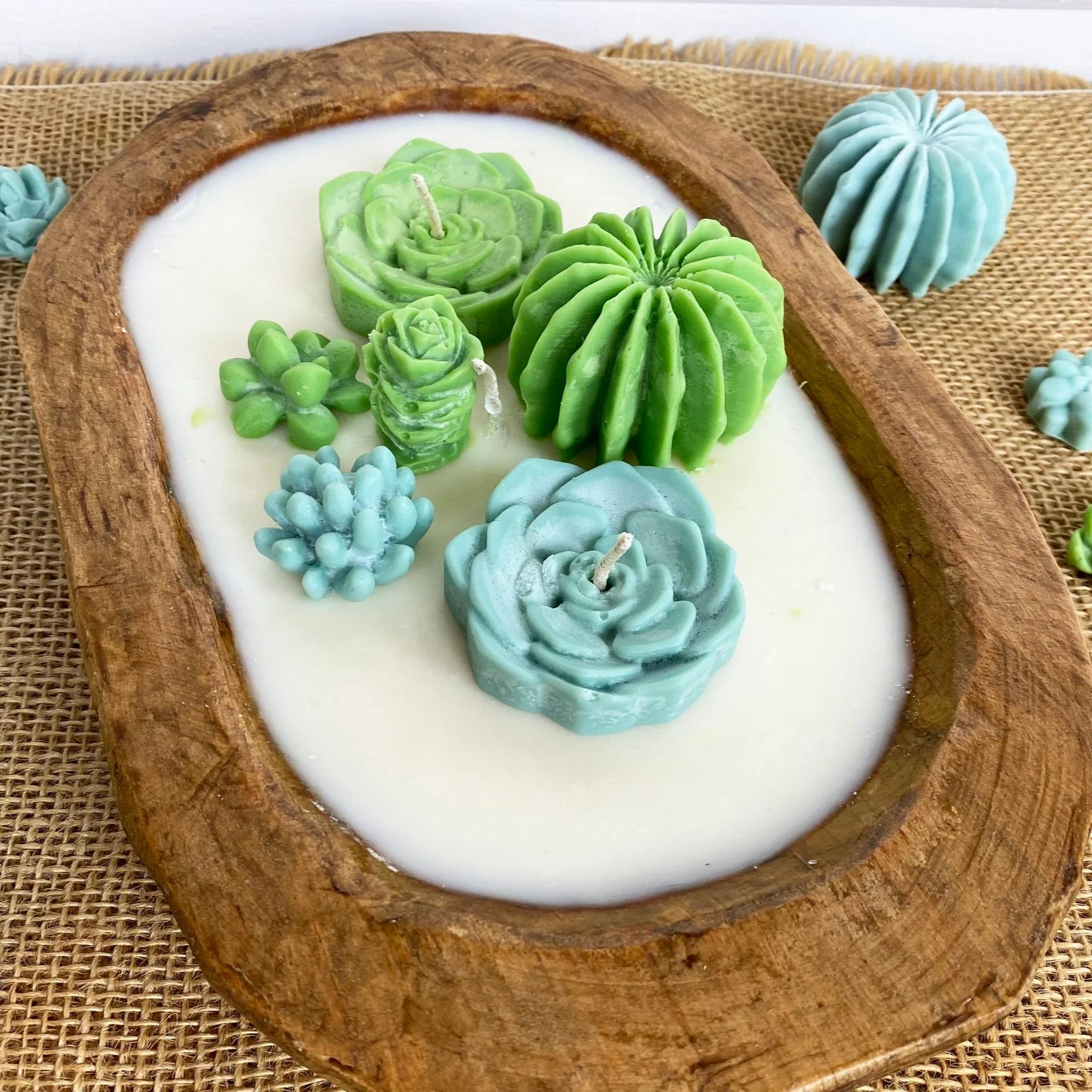where to buy succulent Buy Succulent Plant Online main image 1