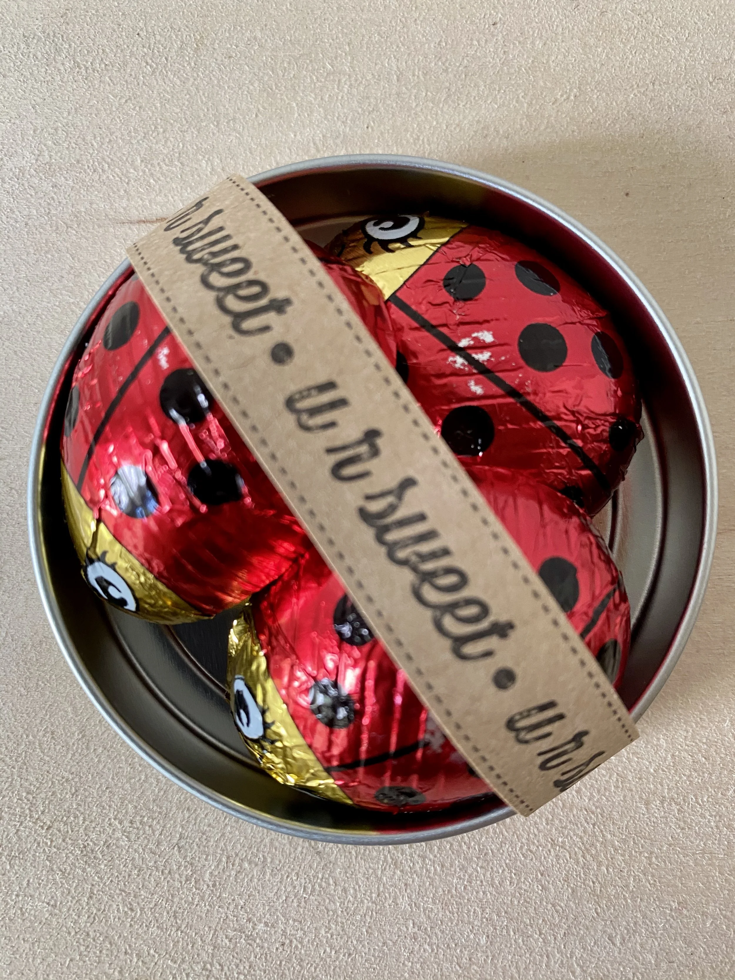 ladybug chocolates.JPG