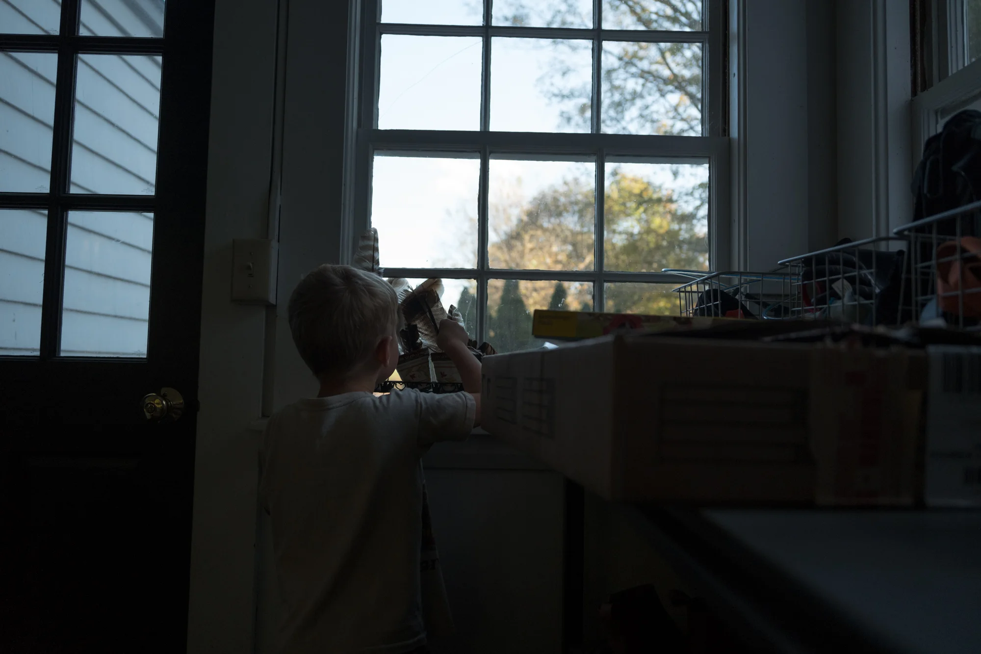 L1000336.jpg