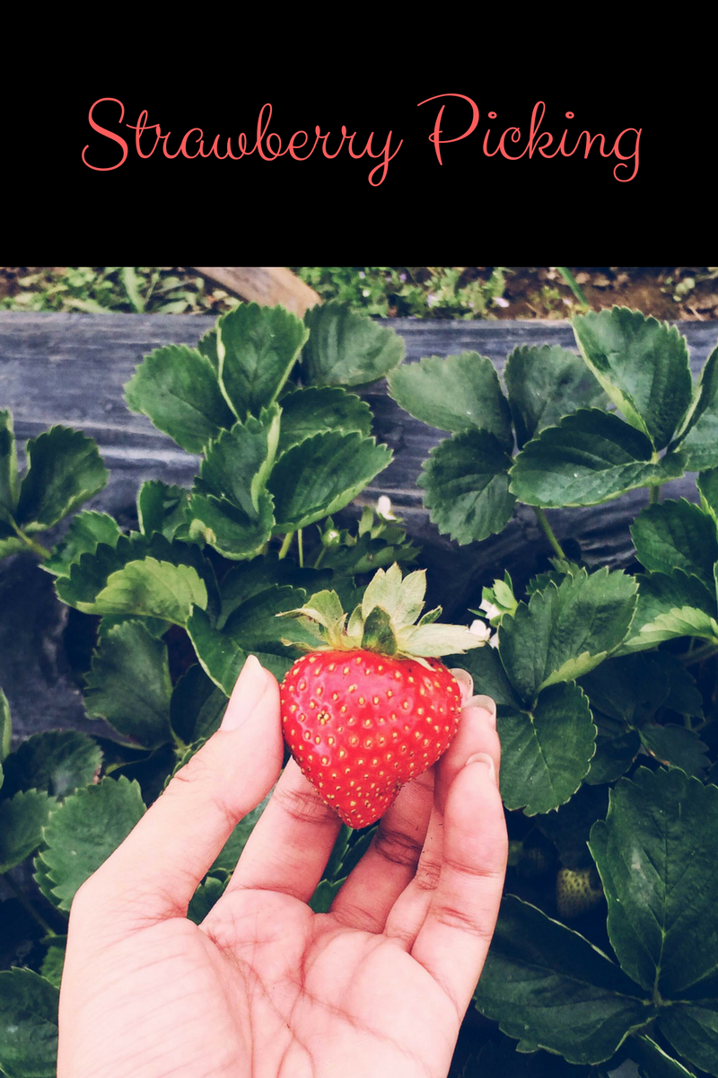 Simple ways to begin a self care routine in under 10 minutes.