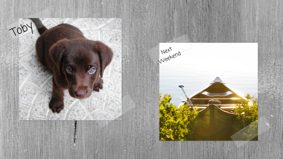 4 easy ways to find daily motivation.