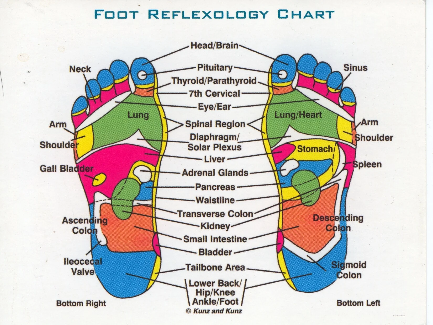 reflexology.jpg