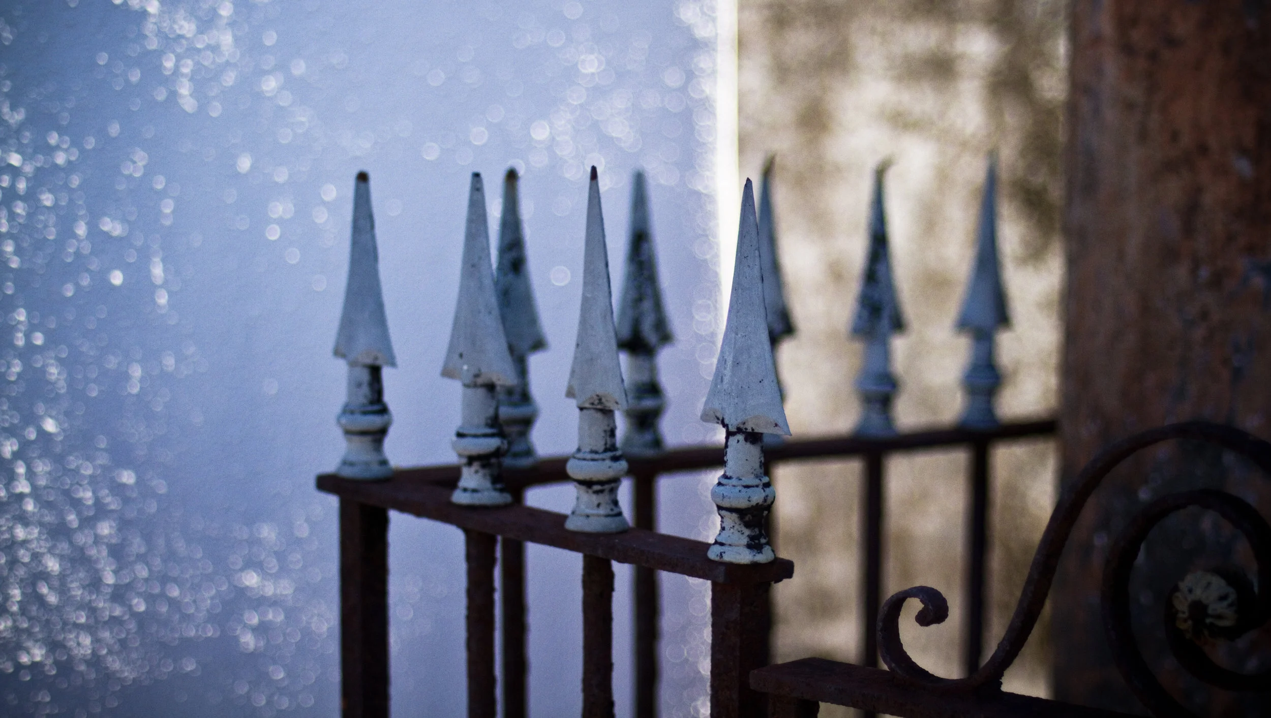 _MG_3554.jpg