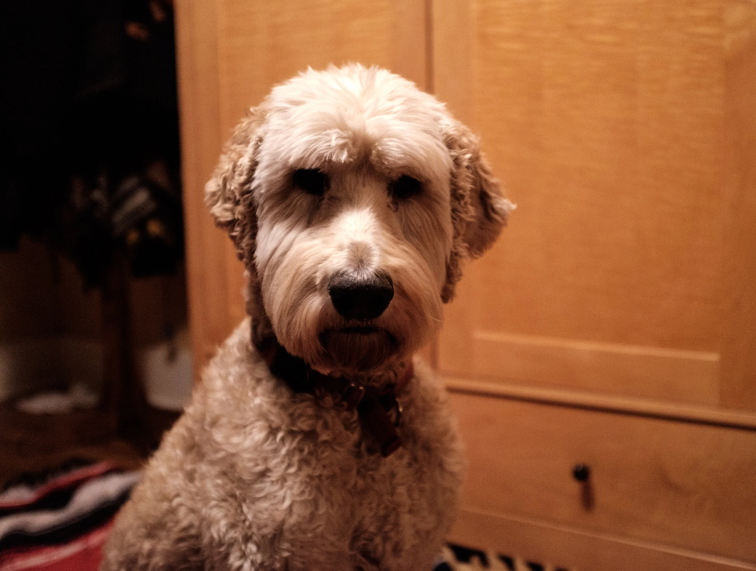 DSCF4765.jpg