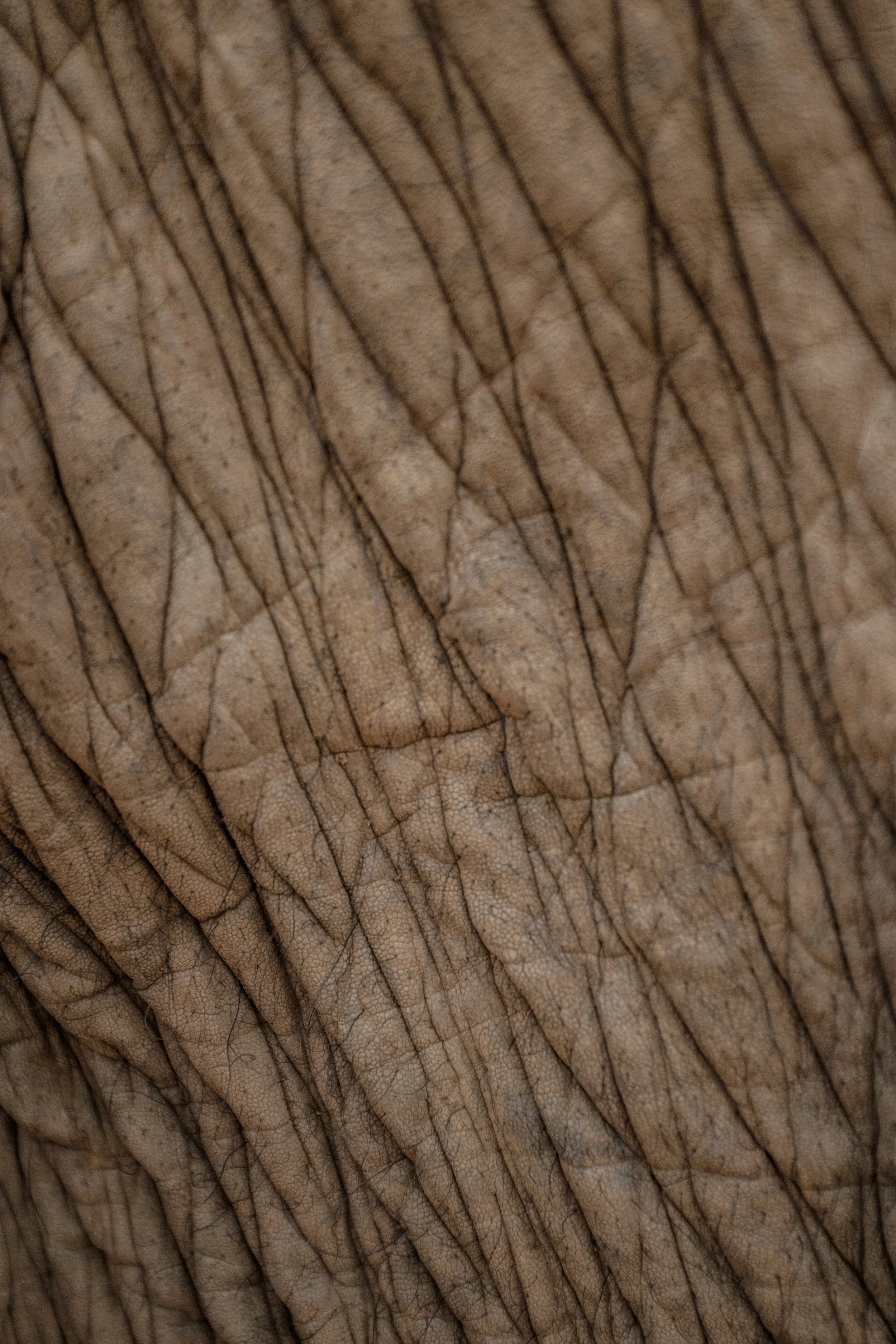 ForWeb-285.jpg