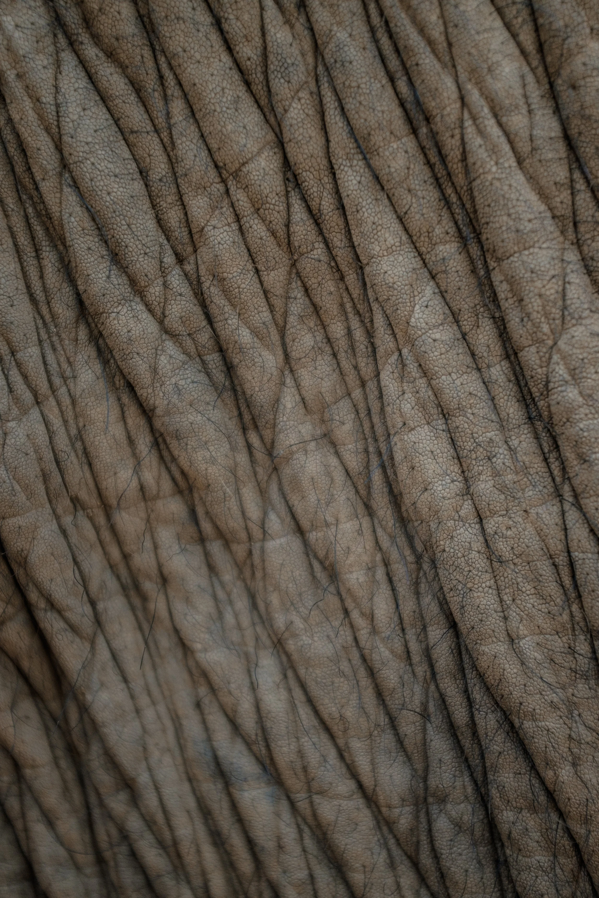 ForWeb-286.jpg