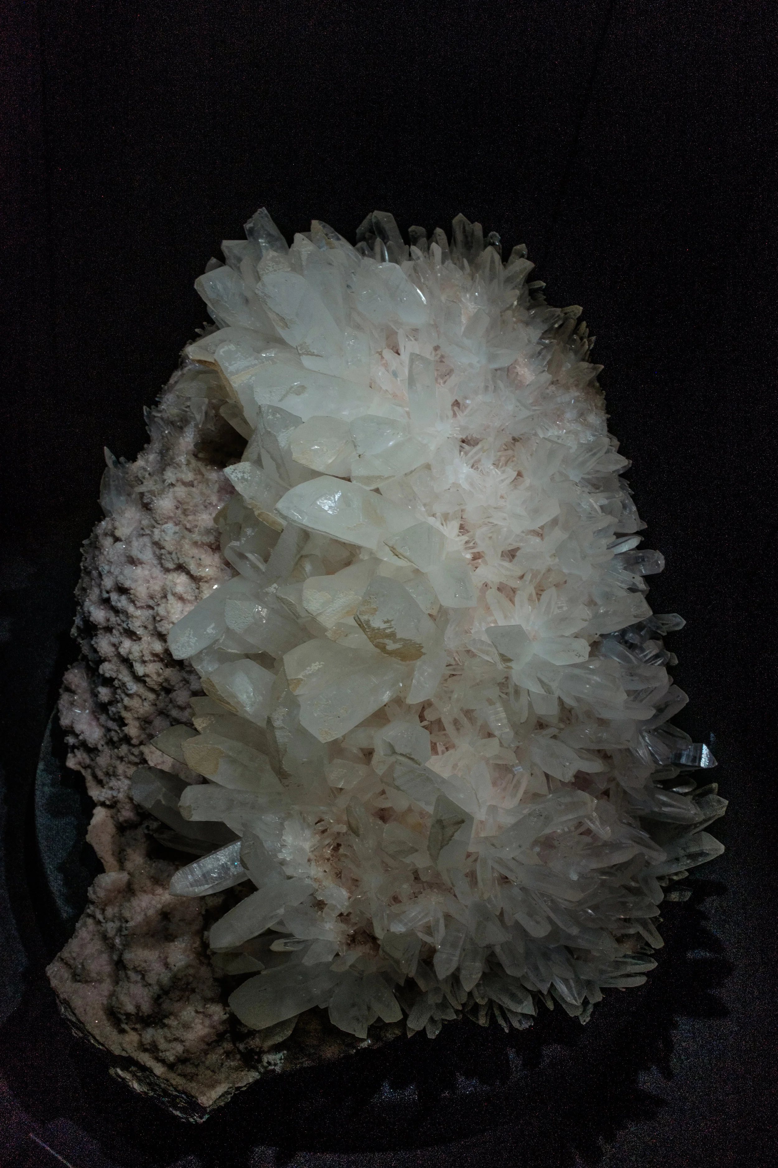 ForWeb-1-32.jpg