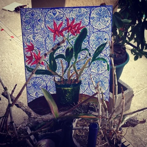 orchid.jpg