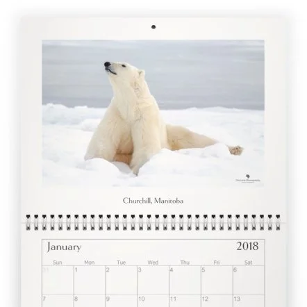 Calendar 2018 - January