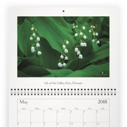 Calendar 2018 - May