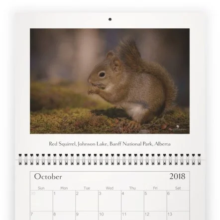 Calendar 2018 - October