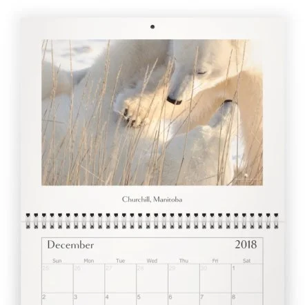Calendar 2018 - December