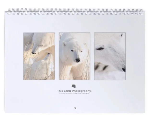 Calendar 2018 - Cover