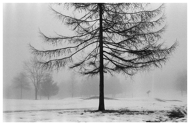 I shot this image on a camera that my Dad passed onto me - the Olympus OM10. Its an old consumer film camera; aperture priority only, manual focus. 
Since getting this camera I&rsquo;ve been experimenting with all the different black and white film s