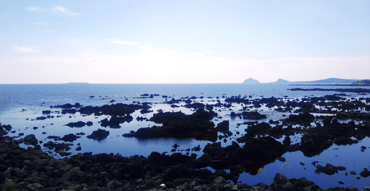 jeju-island-olleh-trail.png