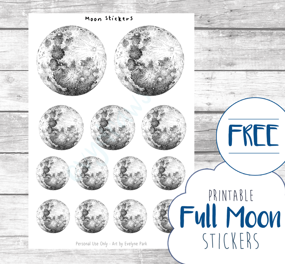 layout ideas for the bullet journal moon stars evydraws