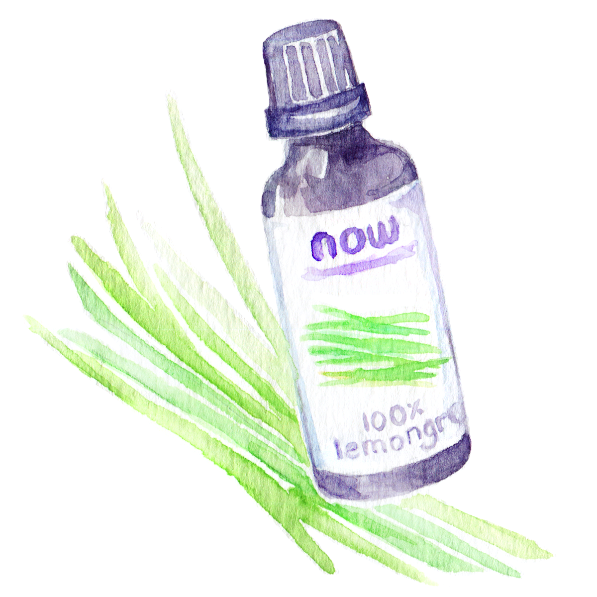 Favorite Thing for Working from Home: Lemongrass Essential Oil Working from home means being stuck in the same environment all day long. In winter, this can get claustrophobic for me - I'm literally in the same ROOM all day because heating is a pain. As a result, I like to keep our home clean, clutter-free and cozy! Scents help so much with that: They can energize, calm, banish other scents and change the atmosphere of a room completely. Recently, I started using more diffusers instead of scented candles (I went through those WAY too quickly!) and now have a humble little collection of essential oils. My favorite scent in January was L emongrass! Not only did it remind me of our trip to Thailand and warmer months, but it went really well with the pervasive scent of oranges we were eating non-stop. A combination of a summer and winter scent, if you will! Lemongrass oil is citrus-y but less sweet than other citrus oils, with earthy undertones that make it relaxing and refreshing at the same time. It also mixes very well with lavender oil - a favorite mix of mine for late evenings. 