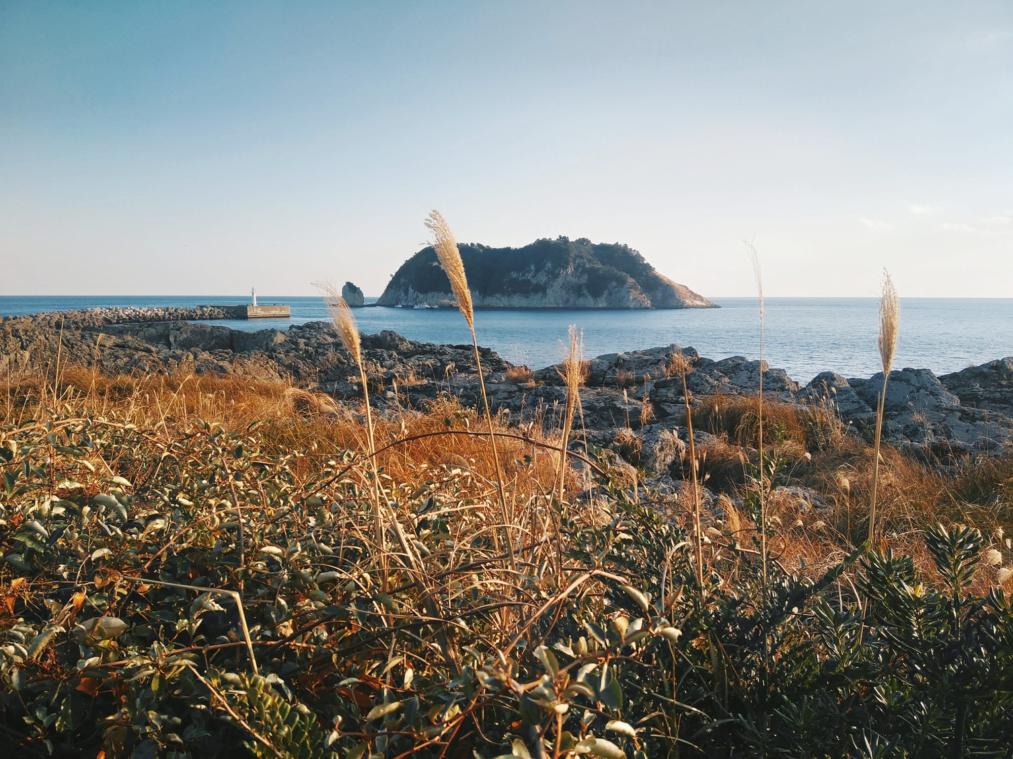 Travel Guide: Jeju Island in Winter. Find my tips and impressions from this beautiful spot in South Korea! No matter if you'd like to discover temples, go hiking, or if you're just looking for good food and coffee, the winter months are perfect for a more relaxed, mindful vacation. Jeju Island is a popular vacation spot in the very south of South Korea. It's also been my home for the last four years. From early spring to late fall the island is full of life, tourists, and always new cafes, restaurants, and events. In winter, Jeju takes a deep breath and slows down. If you're in the mood for a calm vacation, to de-stress and maybe escape the icy -20 Celsius temperatures that reign in Seoul, Jeju Island has a lot to offer even during the colder months. Read on for my travel tips and impressions of Jeju winter life, with a little guide on what to do if you're on Jeju. I always include my tips for traveling around Korea, and Jeju in particular, as a vegan, with a guide to vegan-friendly restaurants.