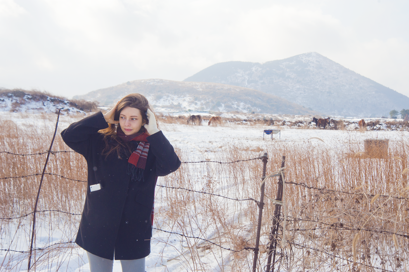 Jeju Island in winter: Travel guide and visual diary by a local. I love the crisp colors and clean air winter brings, and the calm atmosphere all over Jeju. Read on to find tips and inspiration for your own visit to Jeju Island.
