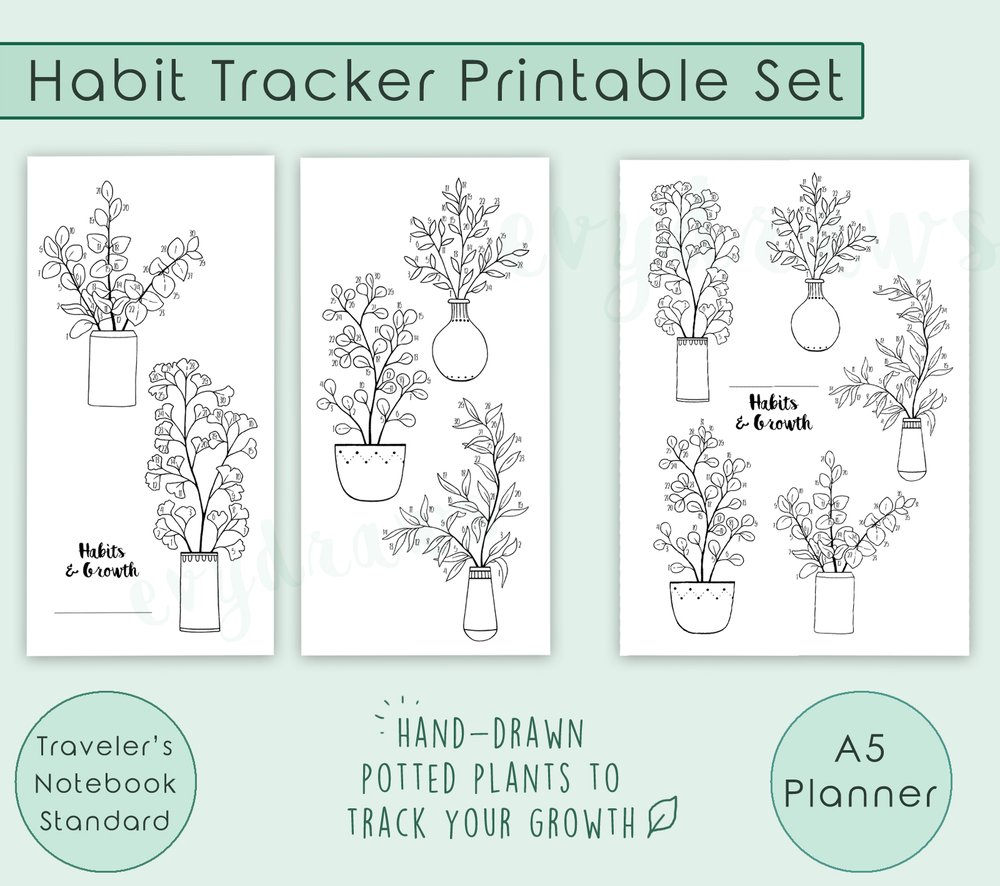 Bullet Journal Setup for Self-Care, Growth &amp; Mindfulness — Evelyne Park ...