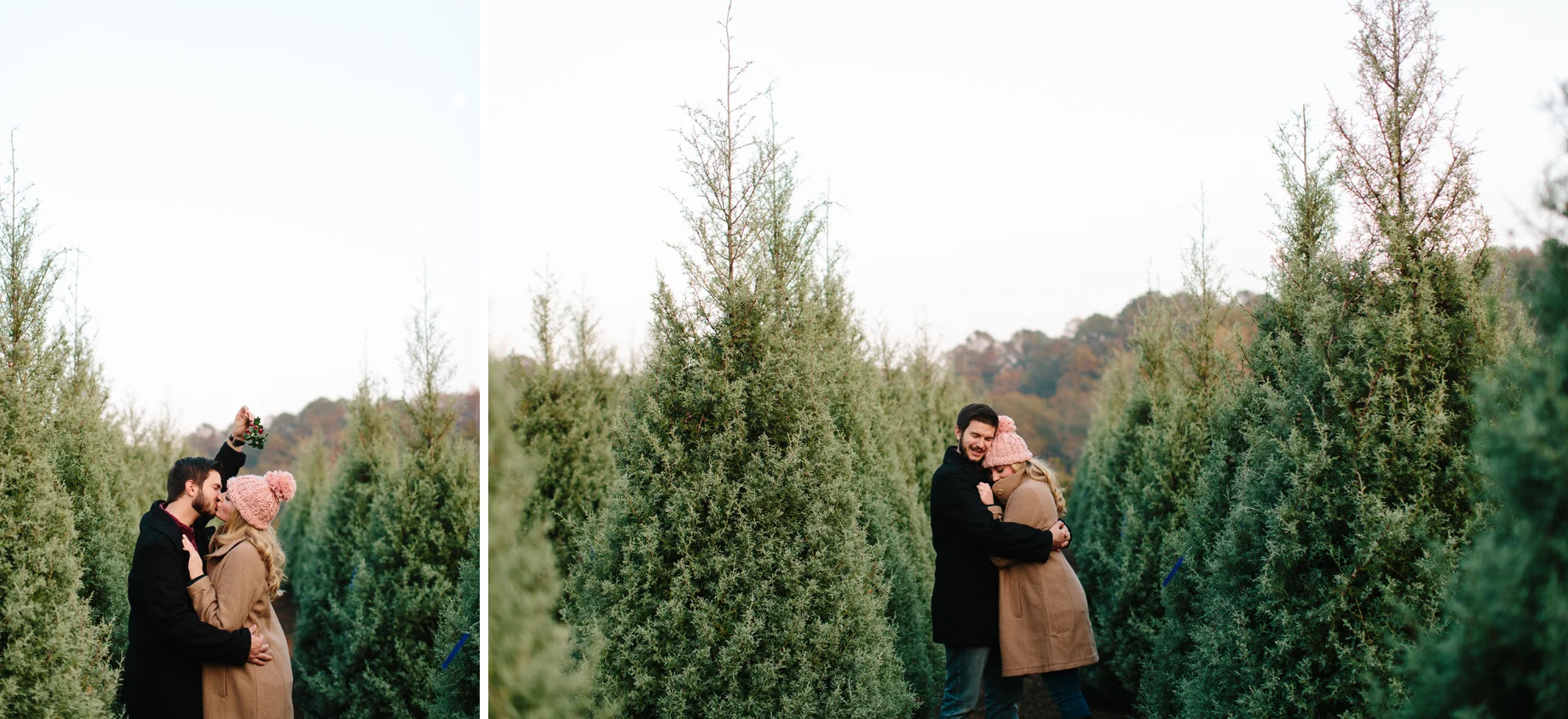 christmas tree farm photos
