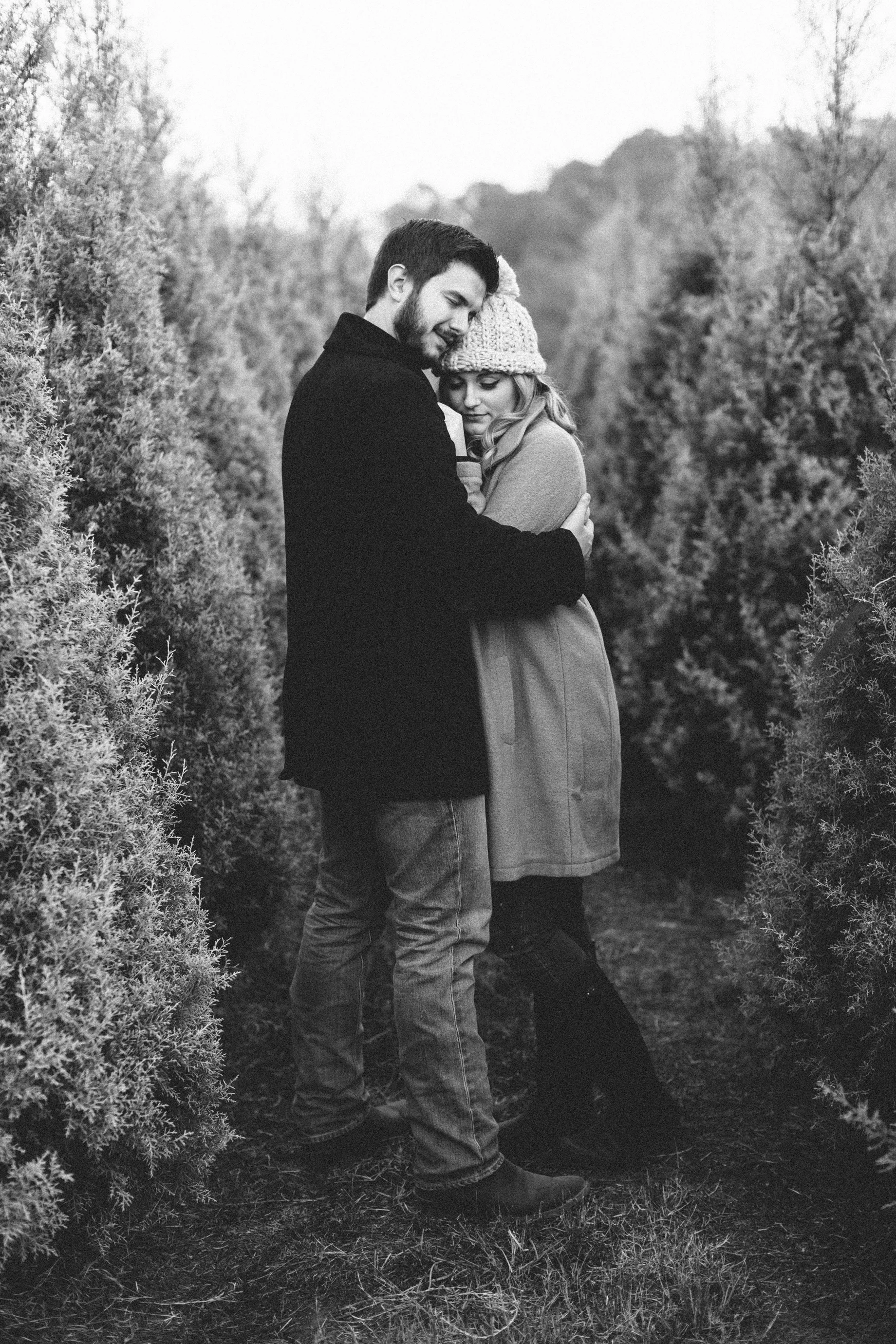 christmas tree farm photos