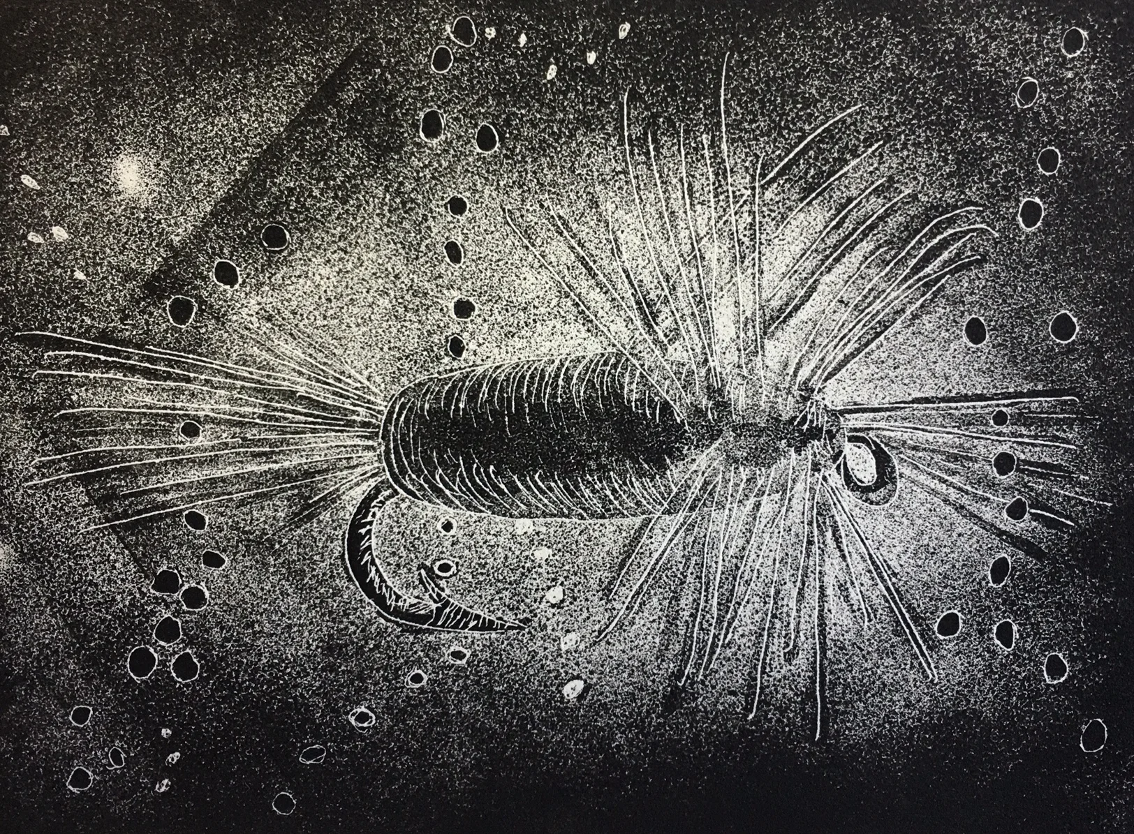 Fly Away | 4”x6” | Aquatint 