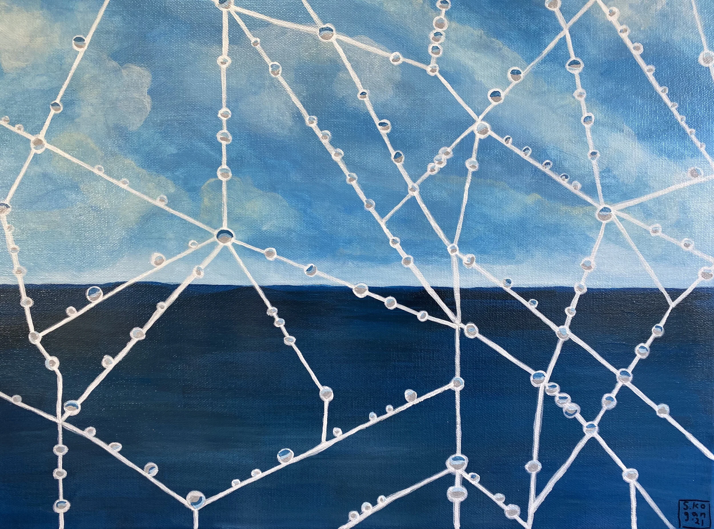 s.kogan- Spiderweb at the Pacific.jpeg