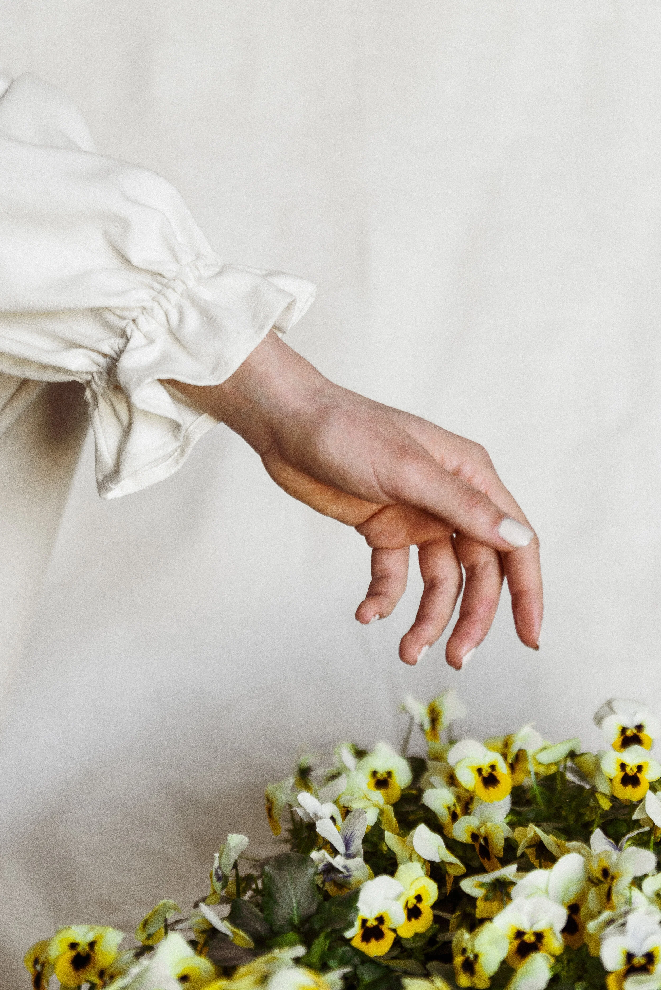  Photograph by Tracy Moromisato 